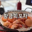 황금손 유쾌한 회 세꼬시 | 광주 동천동 맛집 황금회포차, 펄떡펄떡뛰는 왕새우소금구이 맛집