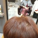 헤어포인트 이미지