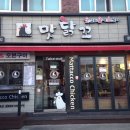 맛닭꼬 광운대점 이미지