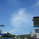 이박사약국 이미지