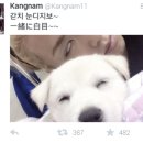 강서교동짬뽕 이미지