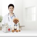 맘스동물의료센터 이미지