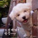 아 이미지