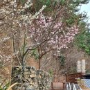 남해궁펜션 이미지