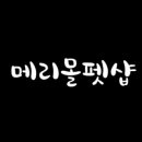 메리몰펫샵 이미지