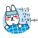 율리사 이미지