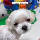 없음 이미지