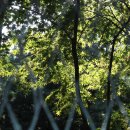 선인체육관 이미지