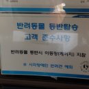 입석애견농장 | 강아지 동반 여행, 곡성 기차마을 방문 주의사항