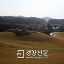태창오리