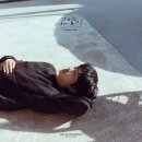 하현상 카카오 검색결과