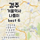 유림-1165 | 경주 가볼만한곳, 명소 &amp; 맛집&amp; 카페 후기♪