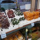 한라청과 이미지