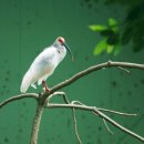 우포1대로 이미지