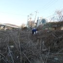 청소농업협동조합 하나로마트 이미지