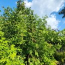 나유농장 이미지