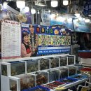 고하대로 | 목포 정화네 박지현 횟집 4인 한상차림 우럭회 후기