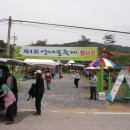 평창 산채으뜸마을 산나물축제(2008.5.24) 이미지