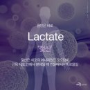 바디소나타 부평시장점 이미지