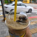 [밍로그] 2025년 #20 (1). 낮이 점점 길어지주?