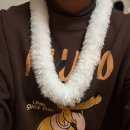 행복을 나누는 하와이 훌라 | [puamele] 연말파티, 그리고 정기공연