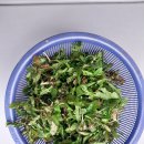 한길농장 이미지