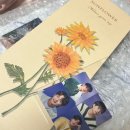 낭만왈왈이 이미지