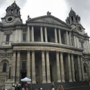 탑 피시 이미지