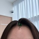 논현 헤어메이크업 아율답다 강남 본식 가봉 메이크업 후기 (ft.지속력 테스트)