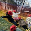 이리별나라어린이집 이미지