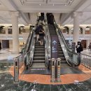 (주)세라젬 신세계백화점강남점 | 백화점 웨딩밴드 투어 신세계백화점 강남점 주말 오픈런 후기 1 꿀팁포함 / 까르띠에 부쉐론 다미아니