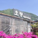 황산칼국수 이미지