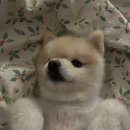 ㈜제철자동차정비 | 이것저것 , 무기력 , 벌써2월