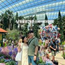 가든플라워 | 가든스바이더웨이::플라워돔+클라우드 포레스트 입장권 가격 및 후기