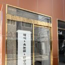 남구-31 | 부산 남구 마스카라가 귀찮아서 마스카라형 속눈썹연장후기"헤어오지지&amp;아이오지지"