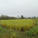 복운2리 이미지