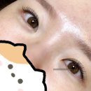 이대 속눈썹펌 살롱드선네일 내돈내산 찐만족 후기(소요시간, 유지기간, 세수 등 주의사항)