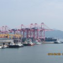 천태초등학교 이미지