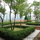 브라운스톤약국 이미지