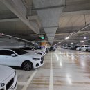 산의향기 | [가락시장 향기수산] 가락시장 횟집 추천 해산물모듬 산낙지 시세, 포장 후기