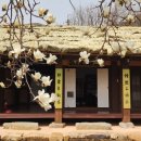 매천황현생가 이미지