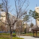 압구정-117 이미지