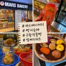 사진과 동영상을 활용한 SNS(블로그, 인스타그램) | [경기 안양]안양 빵지순례 범계 빵집 마스베이커리 구황작물빵 후기