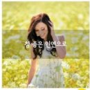 좋은인연 Daum카페
