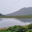 소치경로당 Daum카페