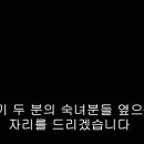 팀메리 이미지