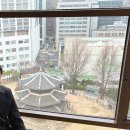 조선 웨스턴 서울 호텔 방문 후기 #이그제큐티브룸#클럽라운지#환구단뷰 시티뷰 비교#해피아워 및 조식...