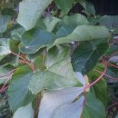 감천1동-11 이미지