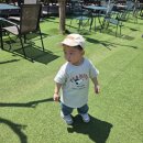 [공지] 대전 근교 어린이날 가볼만한곳! 세종 도토리숲키즈파크 후기 (아이랑 체험&놀이&동물)