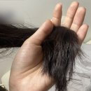 아이린살롱(Irene Salon) | [트리트먼트추천] 레이나앤아이린 백투버진헤어 살롱 트리트먼트 :: 극손상헤어팩 추천